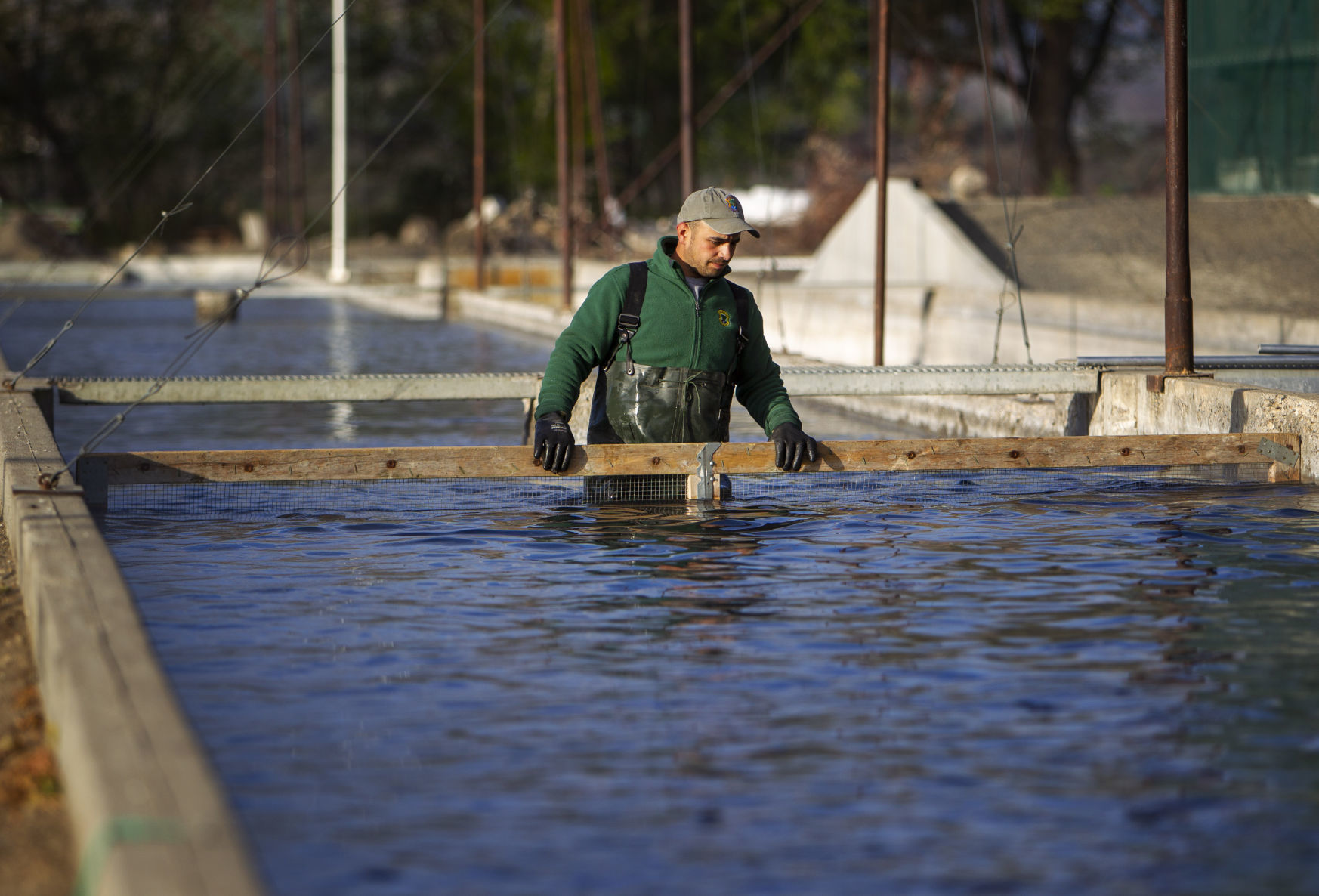 Aquaculture water